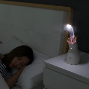 Humidificateur portatif de beauté de soin de peau d'équipement de beauté du ménage 520HM