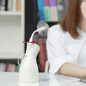 Humidificateur portatif de beauté de soin de peau d'équipement de beauté du ménage 520HM