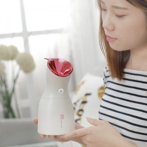 520HM Household Beauty Equipment Portable Skin Care Beauty Humidifier