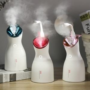 Humidificateur portatif de beauté de soin de peau d'équipement de beauté du ménage 520HM