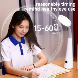 DX01 Professional Study Eye Protect Reading Table Lamp Type C Rechargeable Study Desk Light