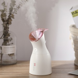 Humidificateur portatif de beauté de soin de peau d'équipement de beauté du ménage 520HM