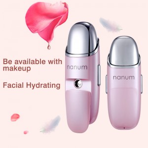 BA001 Beauty Face Spa Portable Humidifier Mini Atomizer Nebulizer Nano Mist Sprayer Beauty Massage Device